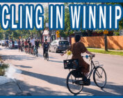 Female riding a step through frame bike with a sunflower in the back basket
