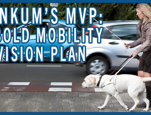 Dutch Mobility Vision Plan
