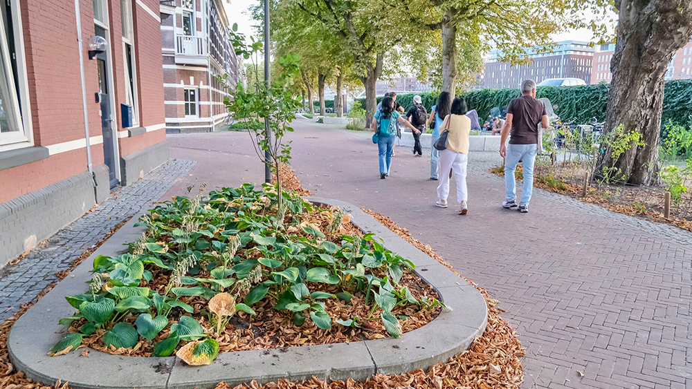 Street Transformation