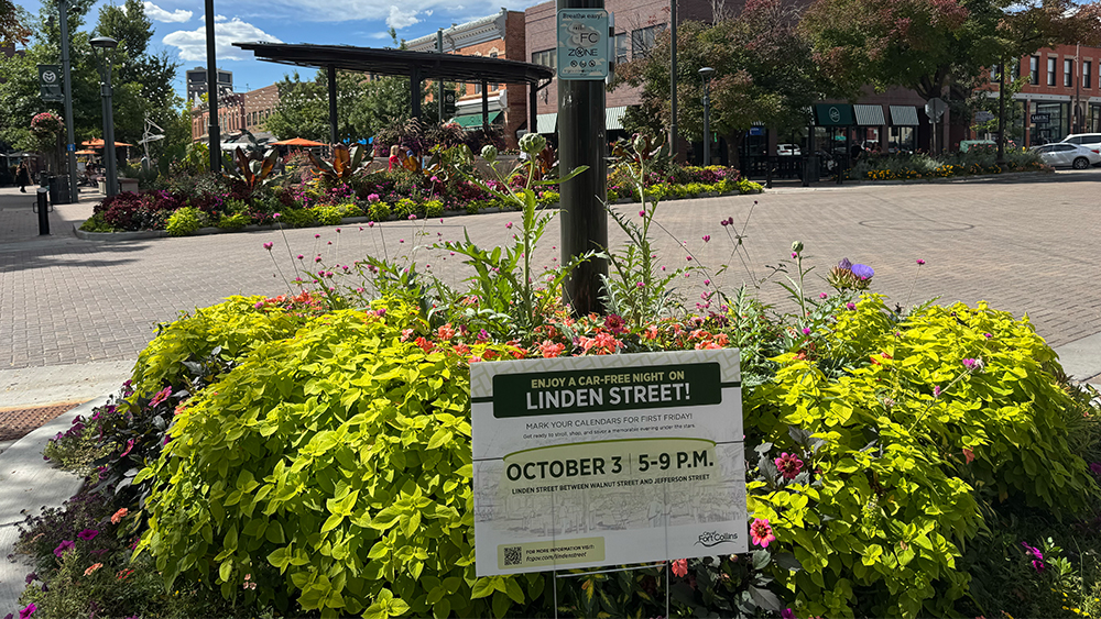Sign advertising a car-free street event in Fort Collins